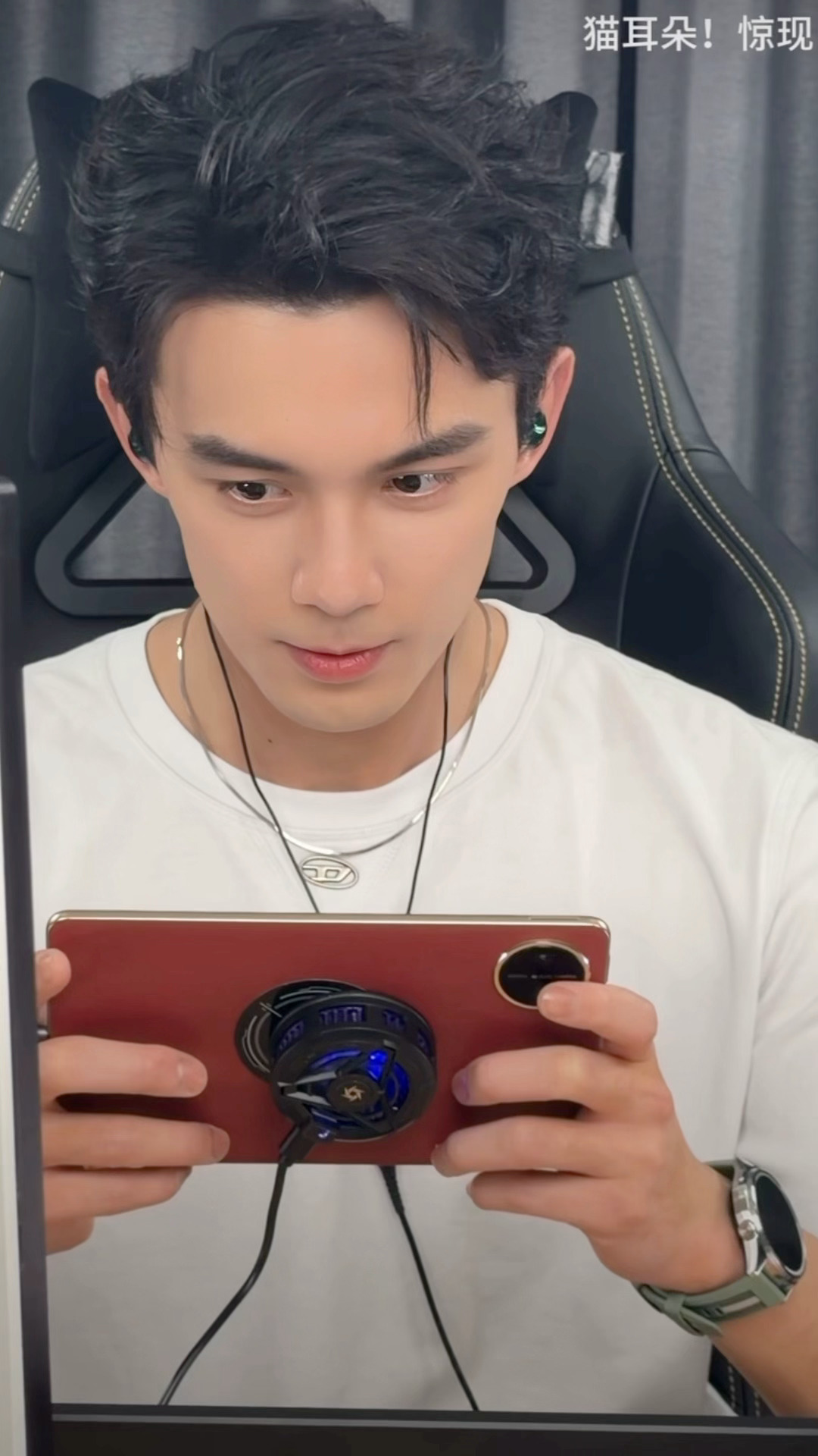 吴磊工作室发布猫猫日常未公开原视频