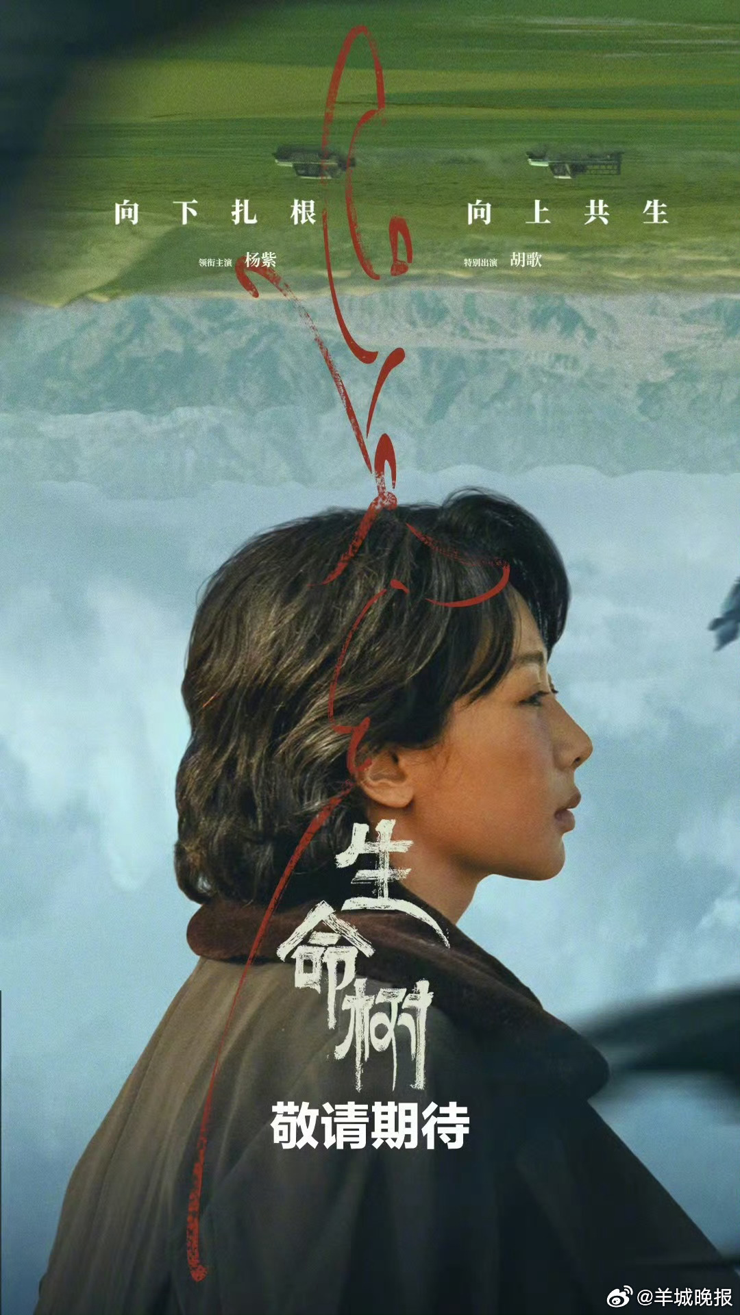 《生命树》等剧集演绎慢节奏深情故事