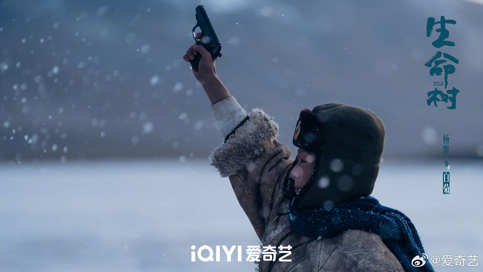 白菊等被困无人区失温，巡山队紧急救援