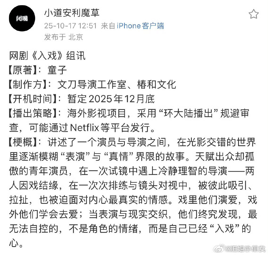 张震张晋同人文作者回应创作初衷