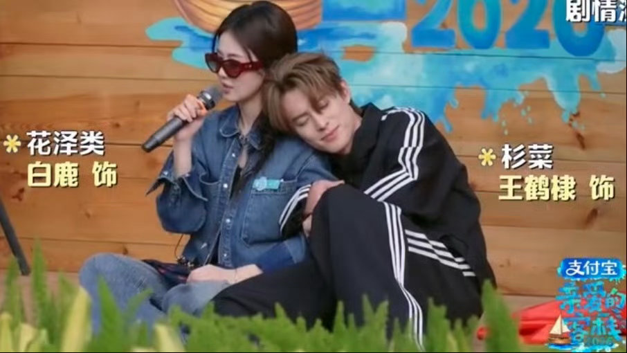 王鹤棣秦岚沈月白鹿同台飙戏，流星花园爆改回家的诱惑