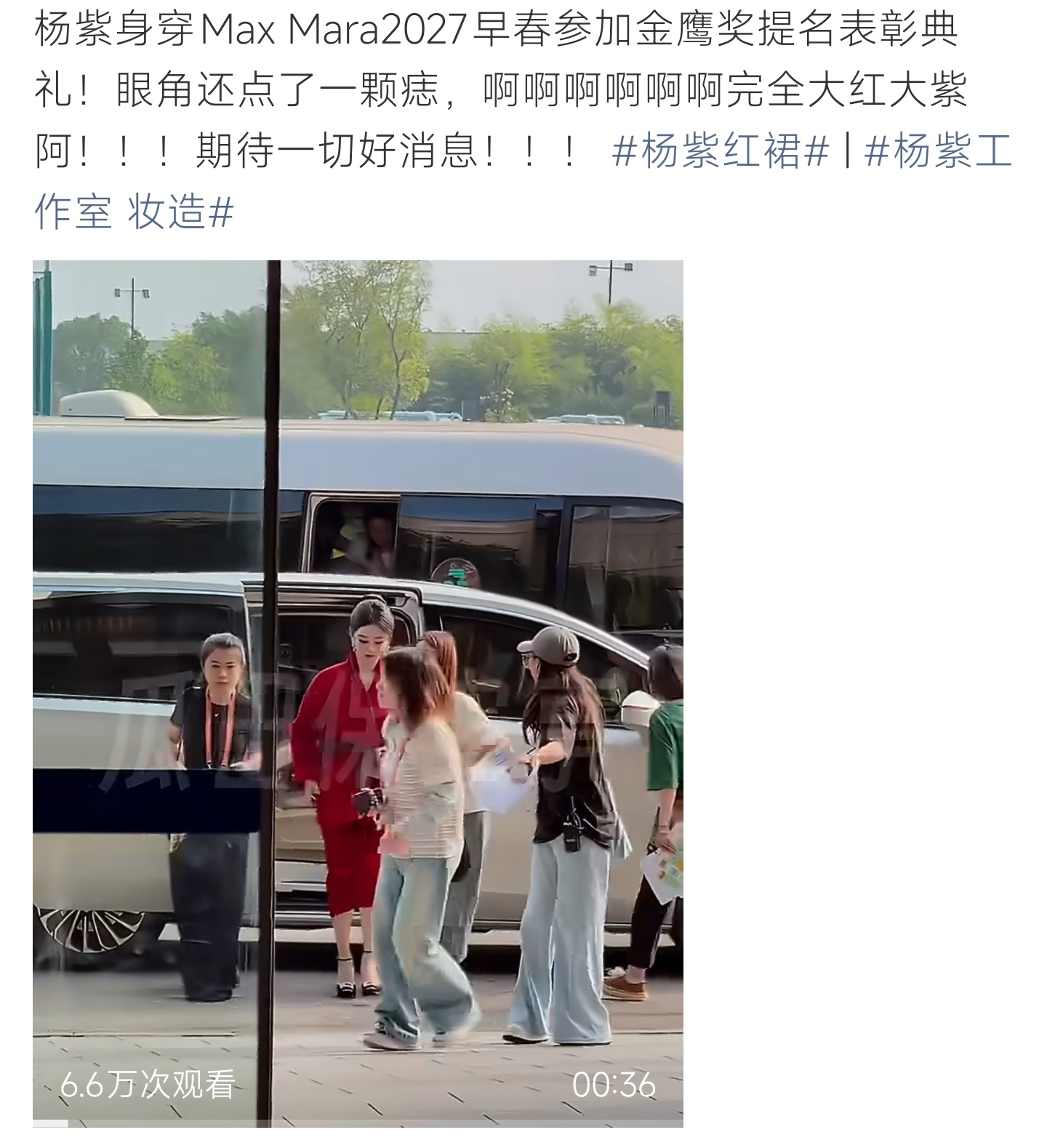 杨紫亮相金鹰奖提名典礼，红裙点痣寓意大红大紫