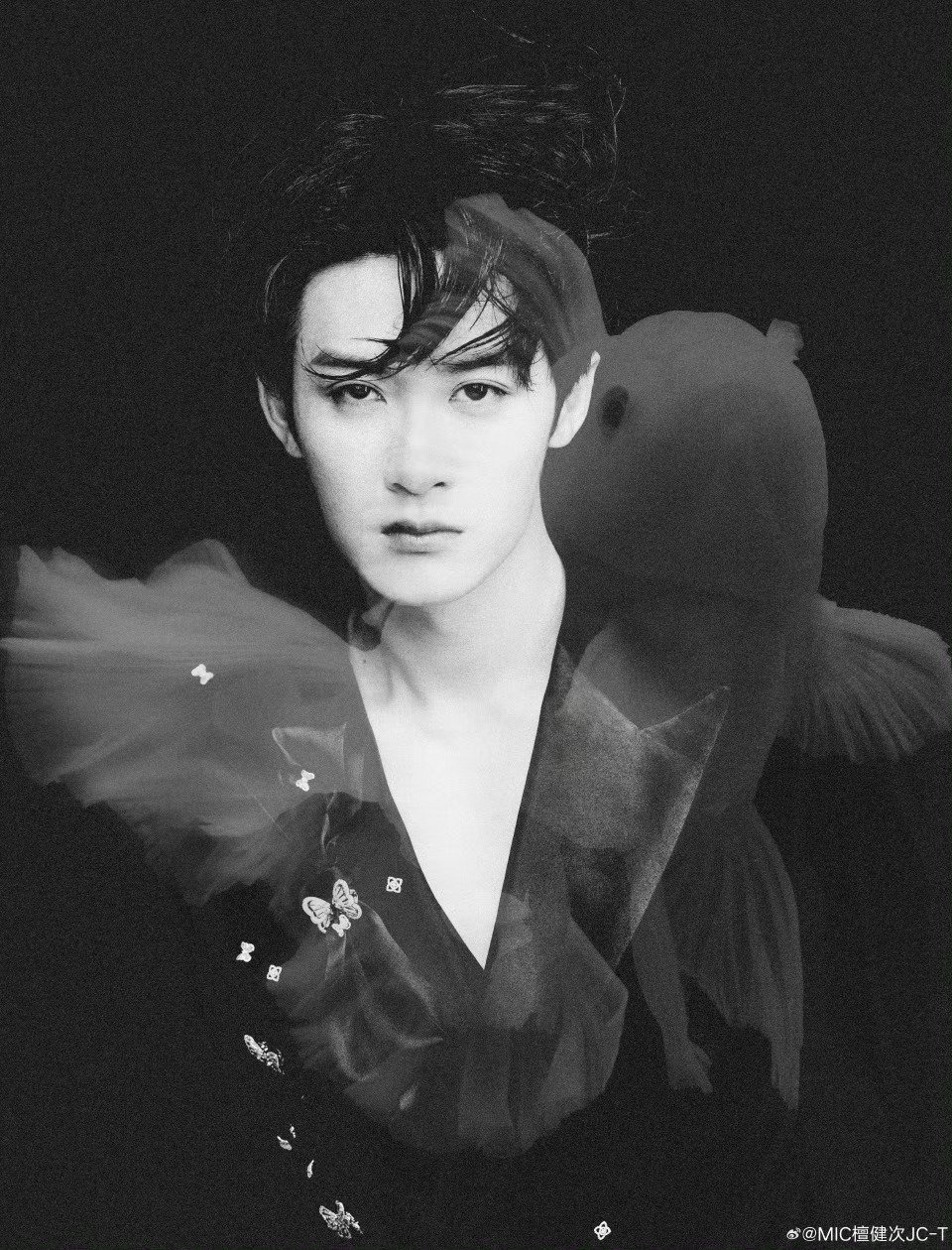 檀健次发文希望你们的幸福与我有关