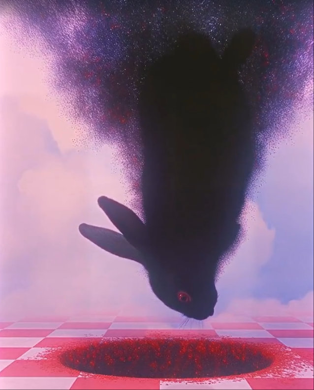 清晨漫步小径寻自然安宁