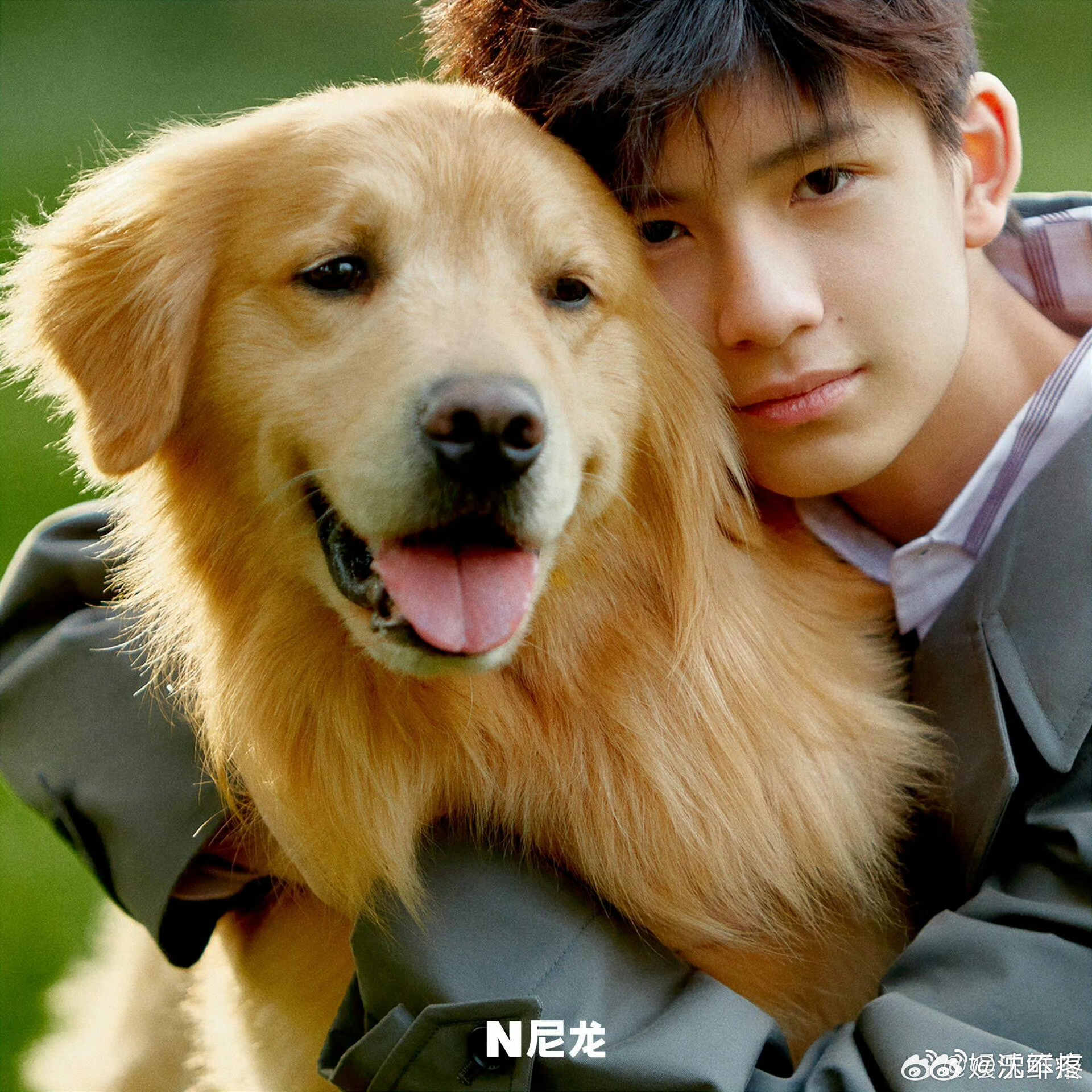 董洁潘粤明儿子顶顶继承父母高颜值基因