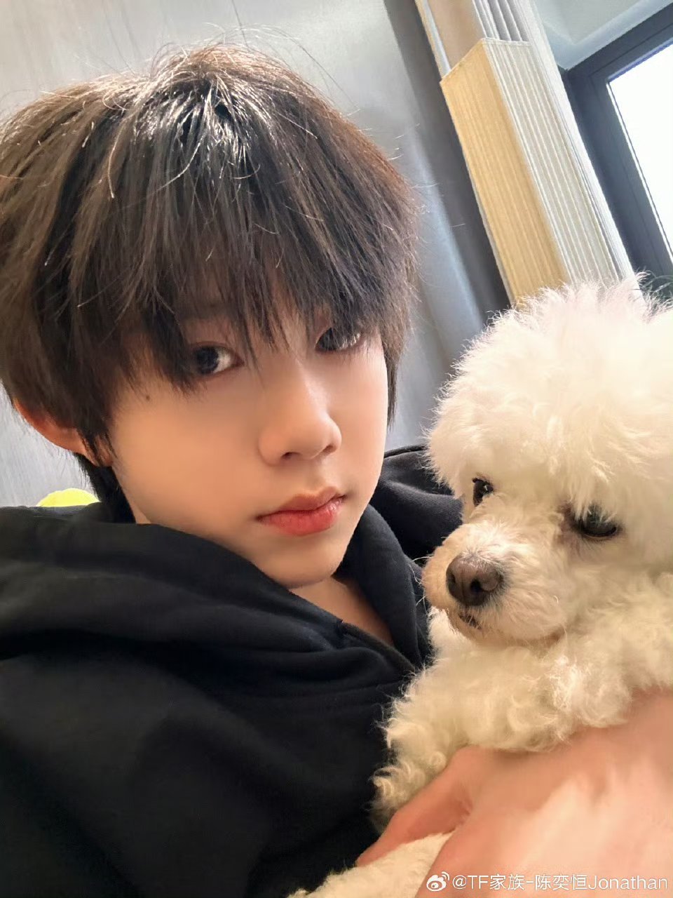 陈奕恒晒爱犬caffy照，归渝首条微博引关注