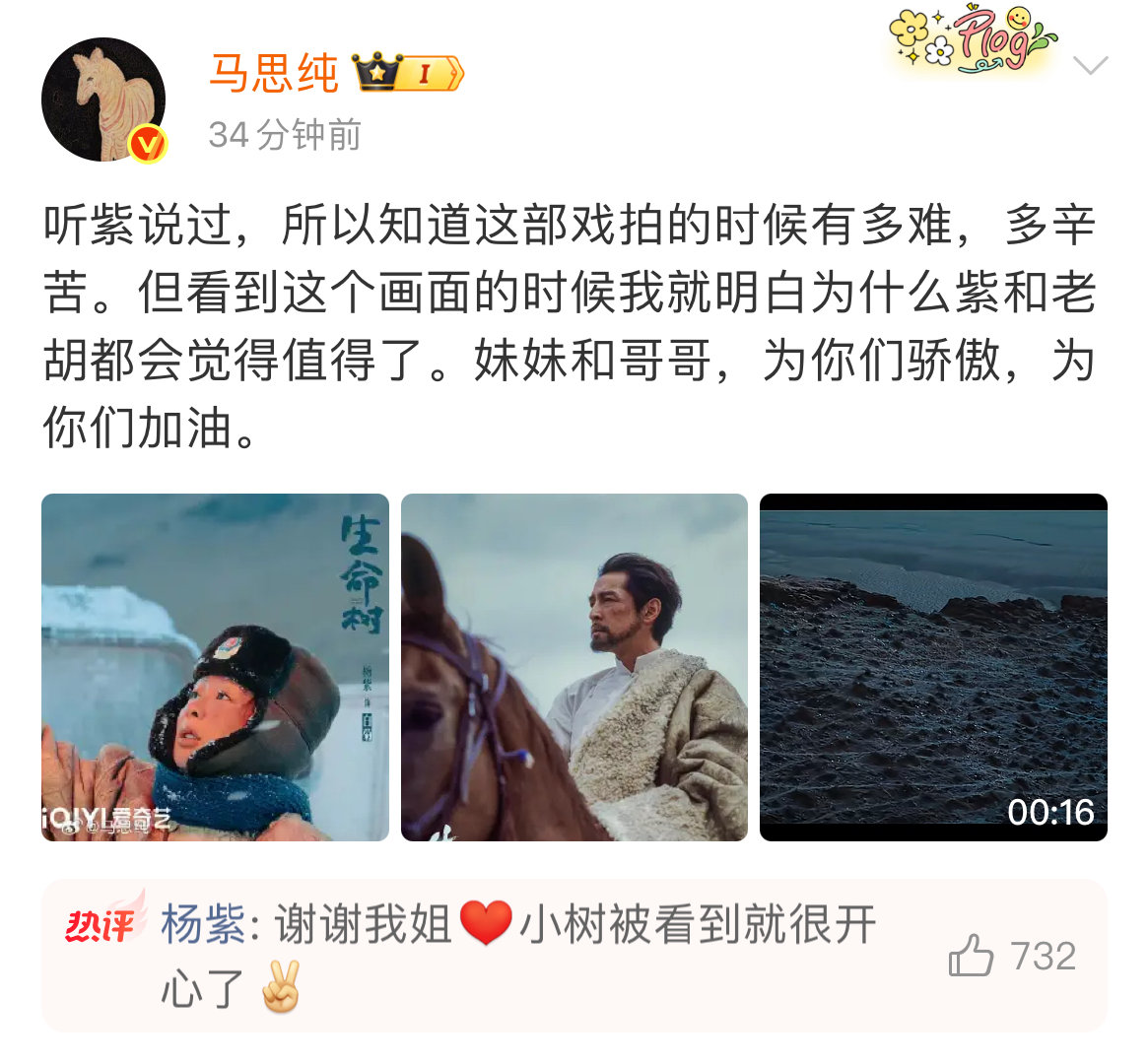 杨紫回应马思纯感谢称小树被看到就很开心