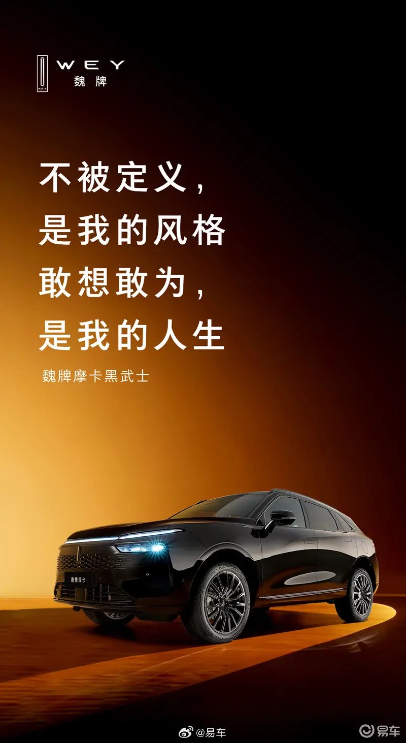 魏牌摩卡黑武士版官图发布，全维度黑化升级