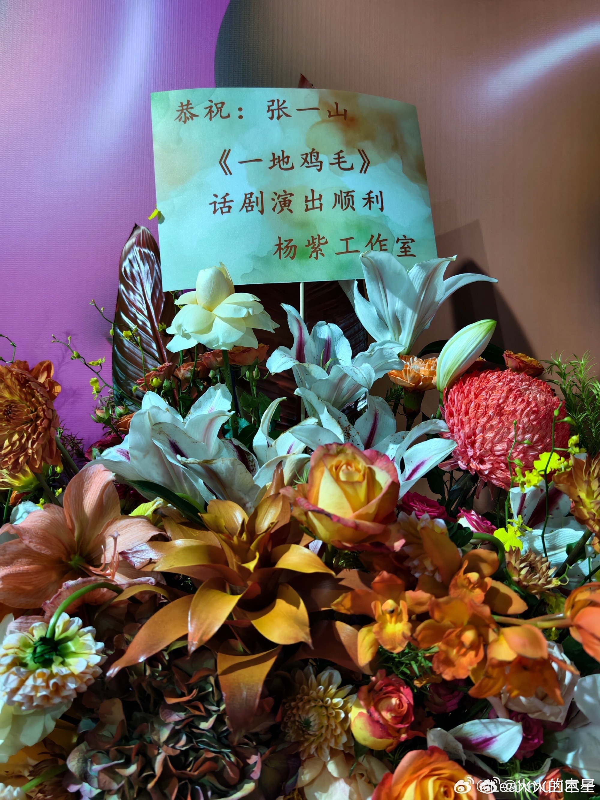 杨紫为张一山话剧《一地鸡毛》送花篮