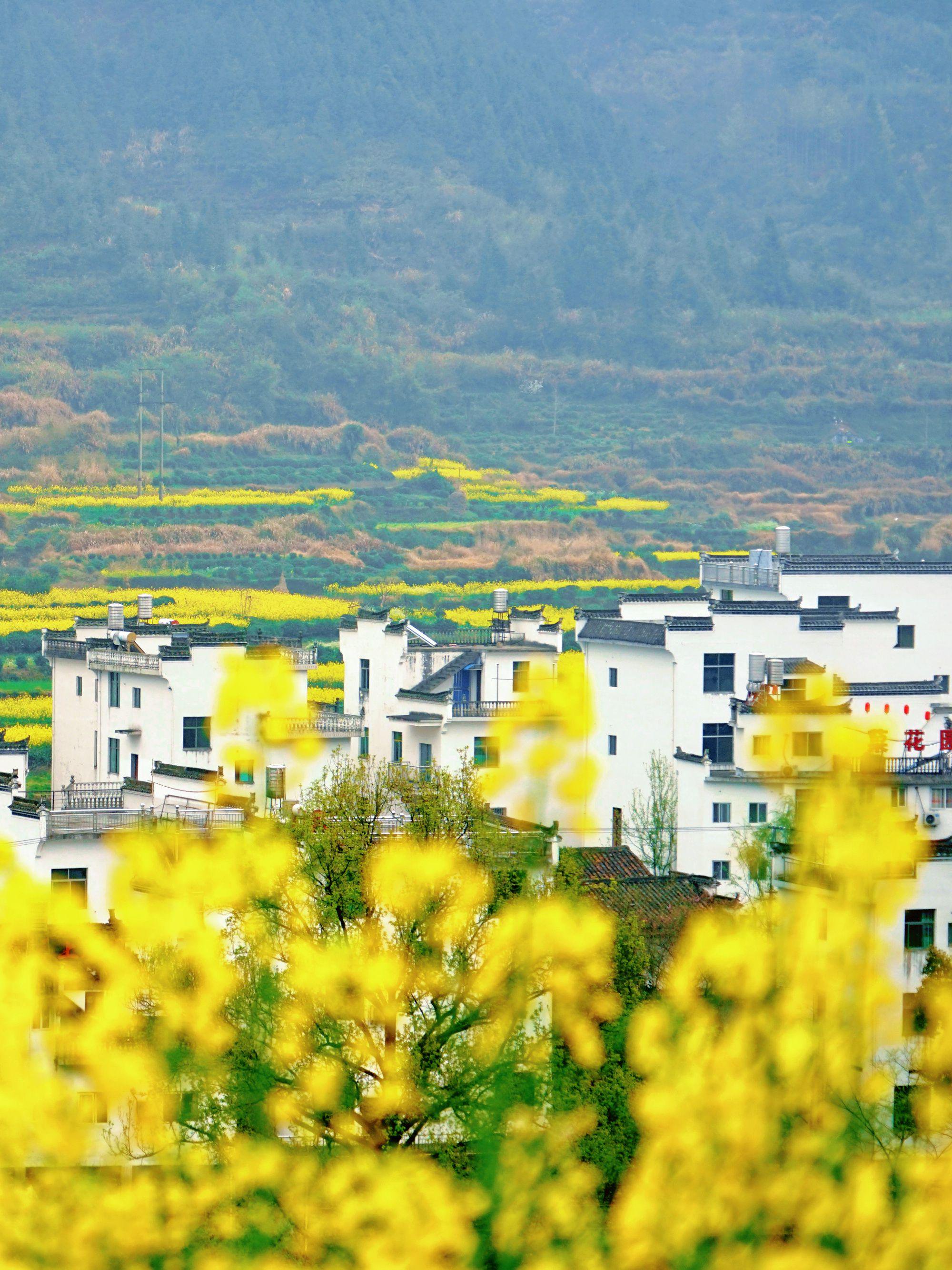 问界M6开启预订，26.98万元起瞄准年轻家庭市场