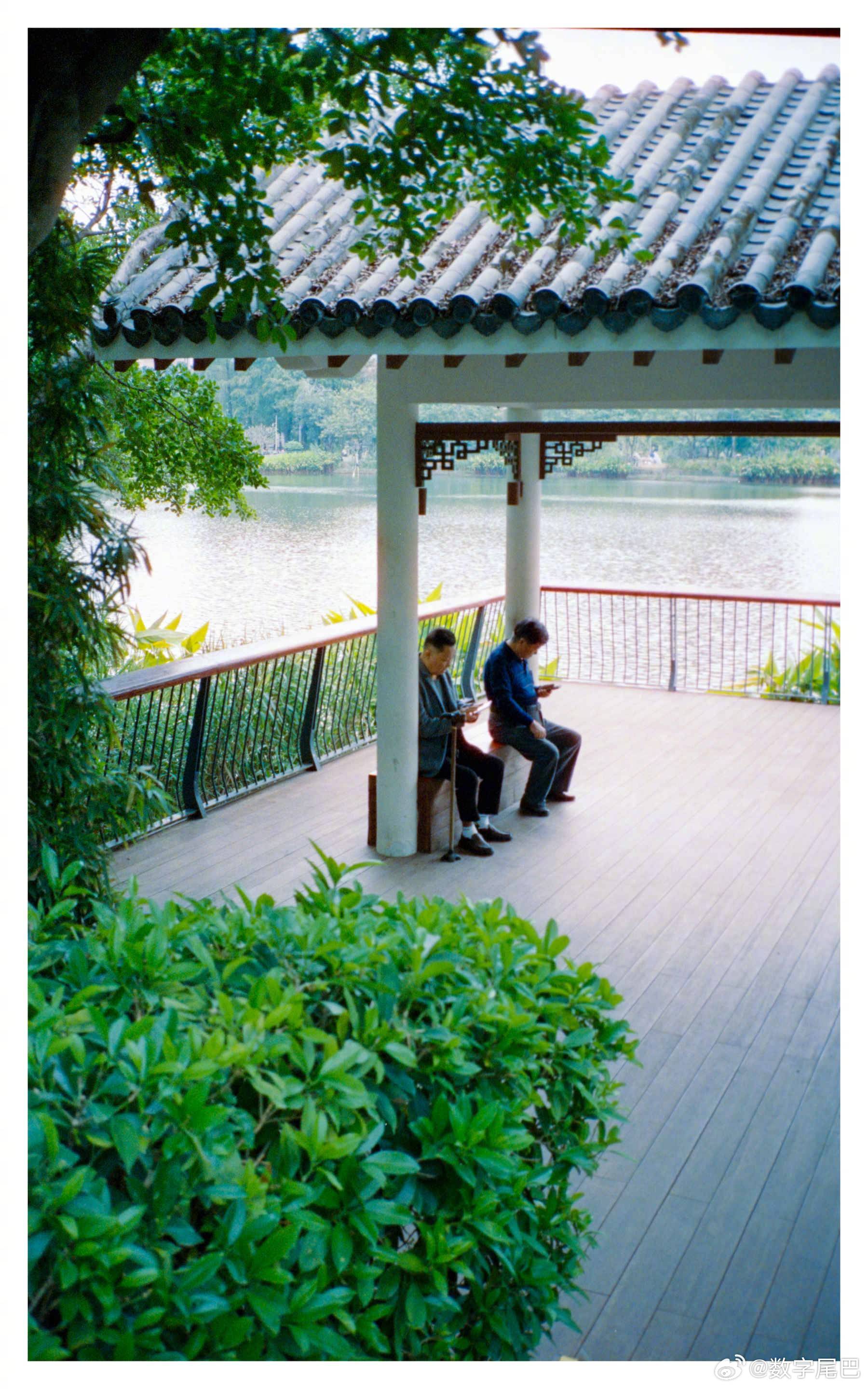 福田蛇口两公园开展胶片拍摄计划