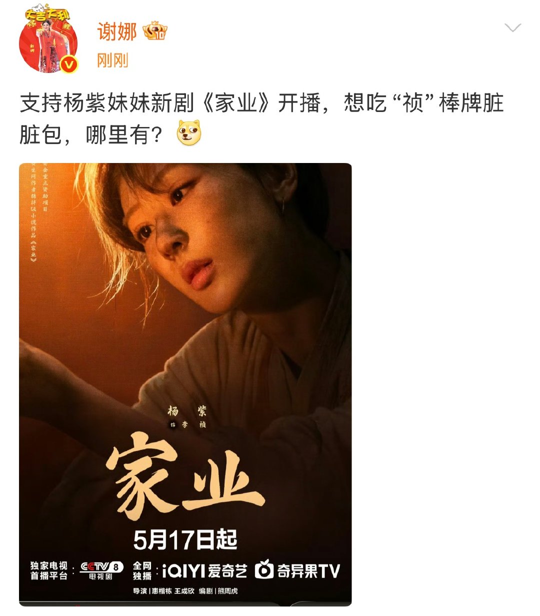 谢娜力挺杨紫妹妹新剧家业