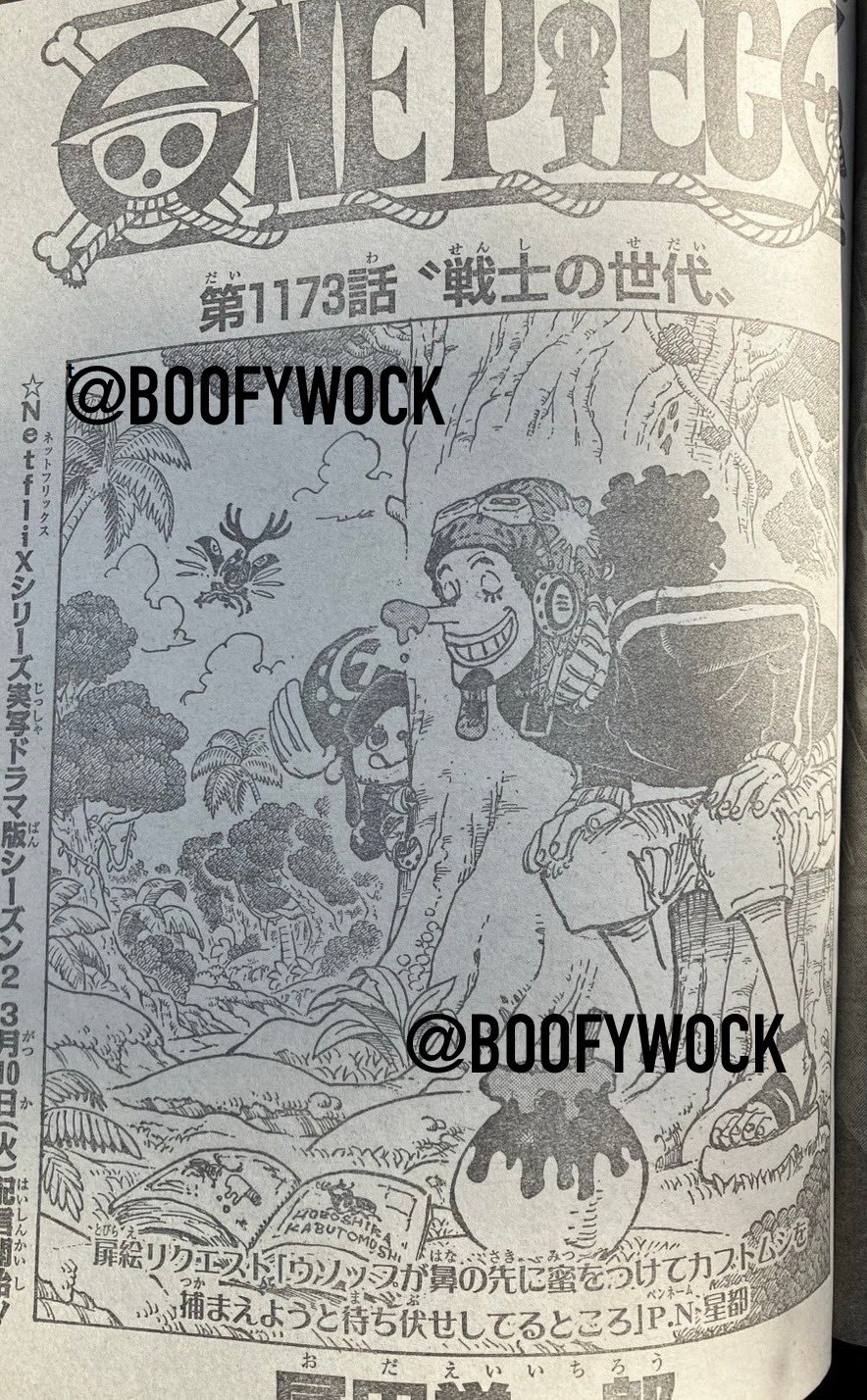 海贼王1173话扉页：乌索普鼻尖蜂蜜诱甲虫，乔巴树后垂涎