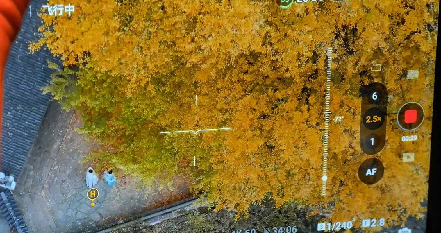 于正称《金吾不禁》为公路片，浙江取景展现家乡美景