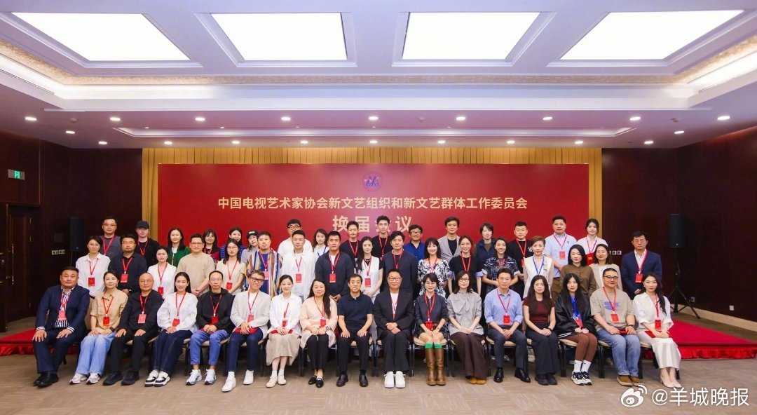 杨幂、宋佳等19人任中国视协双新工作委员会副会长