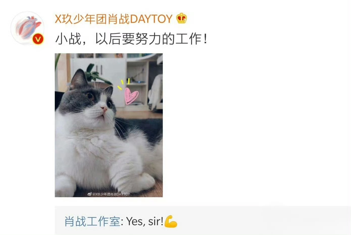 肖战工作室七周年卡点发布长视频，仪式感随老板