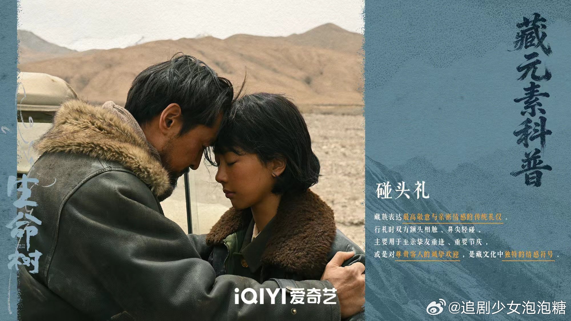 马思纯追剧生命树并为其宣传