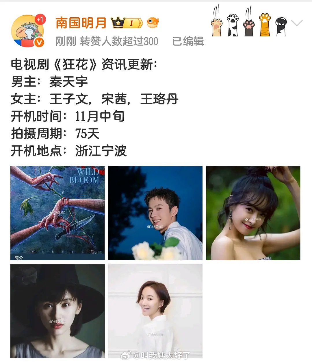 秦天宇将搭档王子文宋茜王珞丹出演《狂花》男主