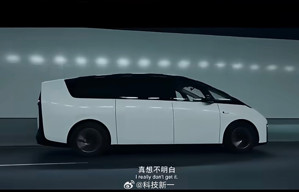 理想MEGA车主开新车回村引关注