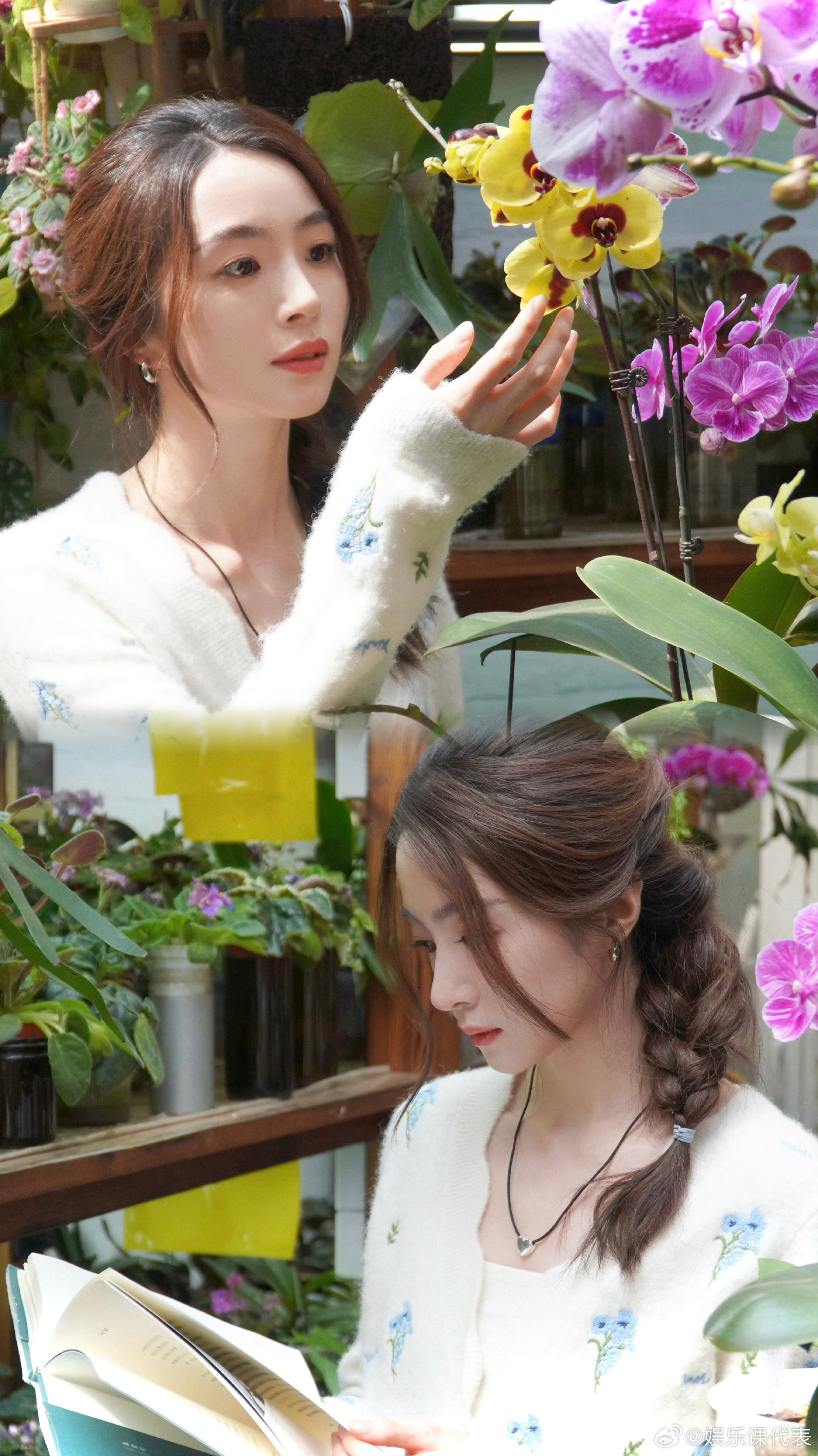 胡冰卿邀约旅行搭子互动引期待