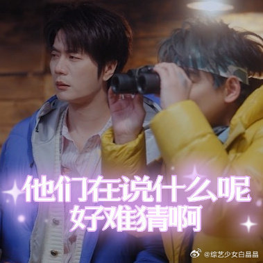 苏醒离谱翻译引发张远王栎鑫家庭伦理剧