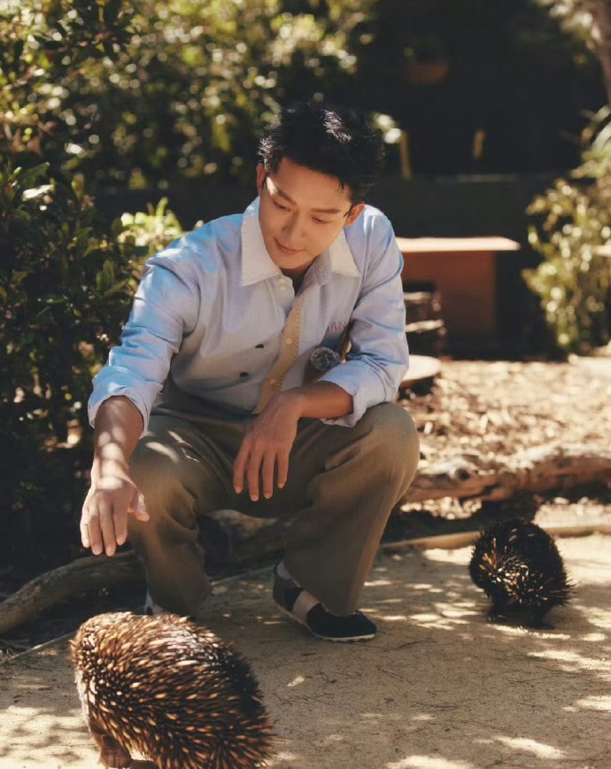 沈月搭档张晚意出演古偶S剧《但愿人长久》