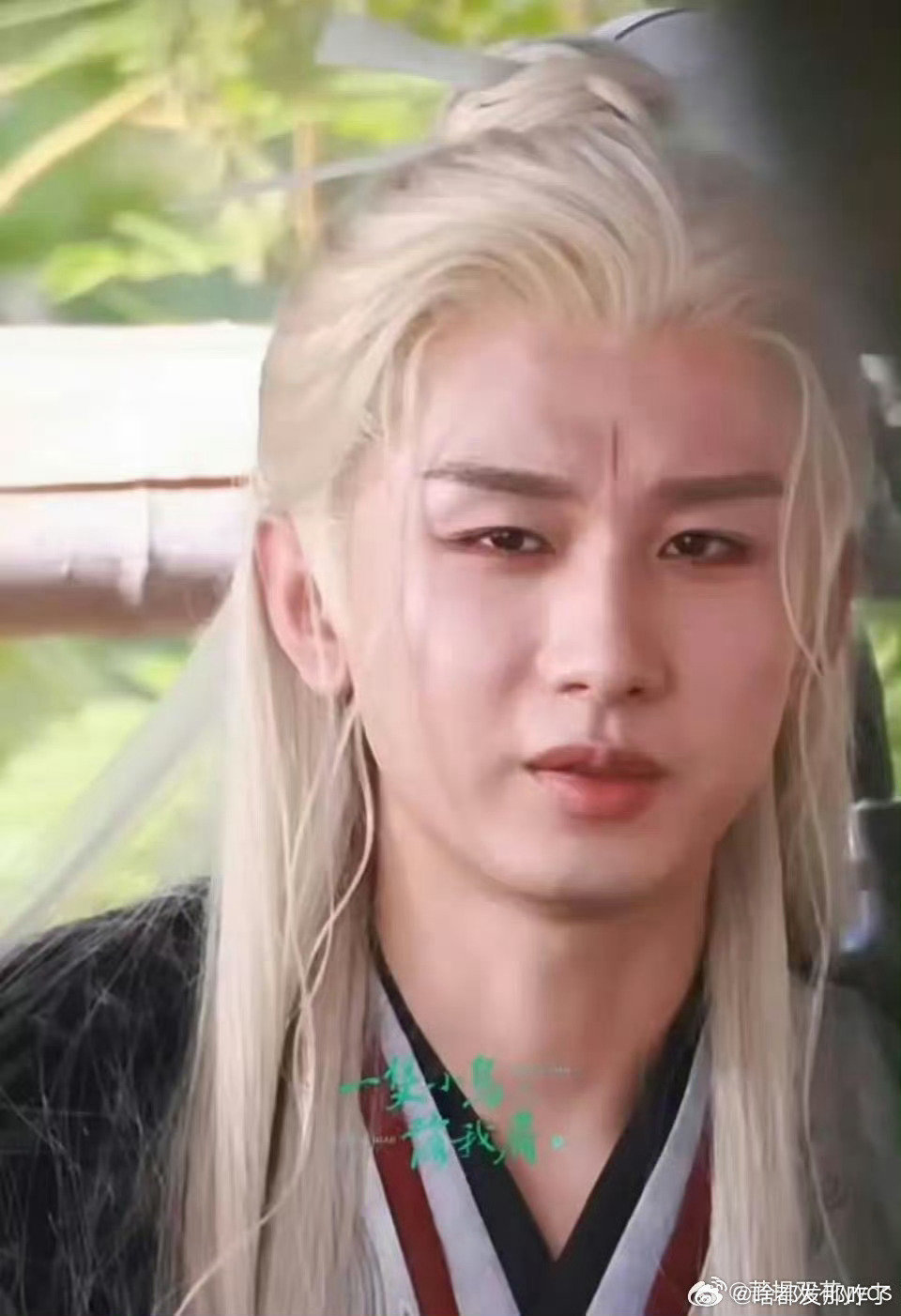 杨紫成毅被赞适合出演仙逆影视版