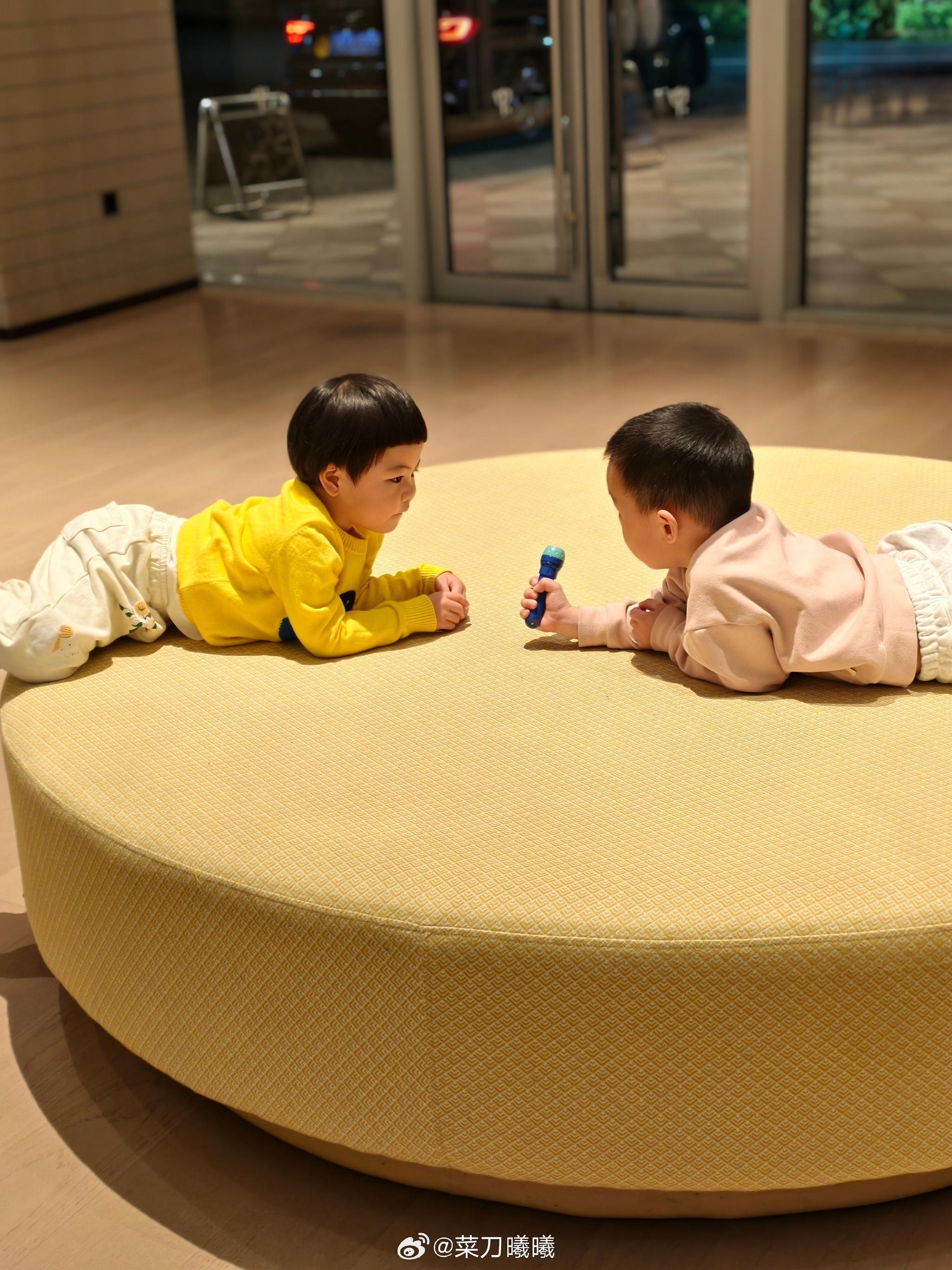 张怡宁晒与爱犬合影