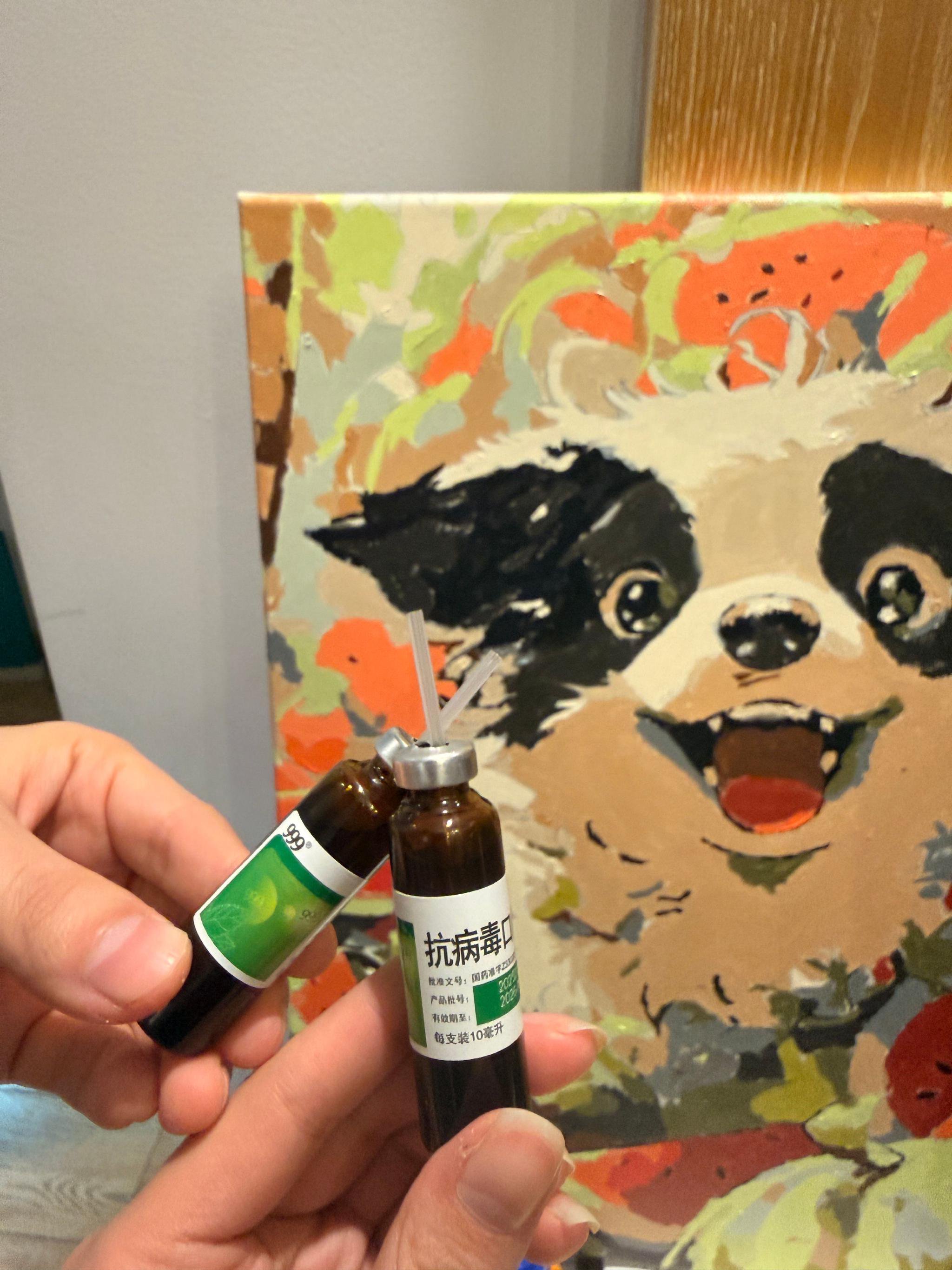 姚晨庄达菲亲子旅行必备999抗病毒口服液