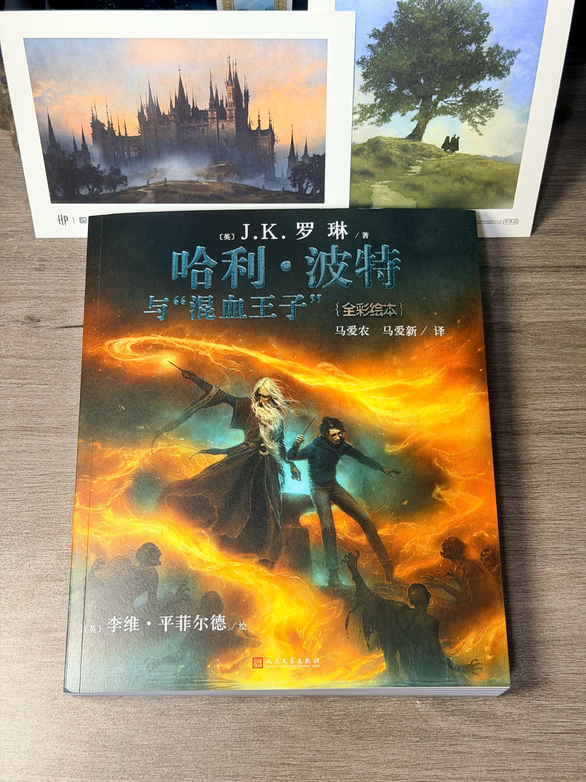 哈利·波特与混血王子彩绘中文版发售，共421页