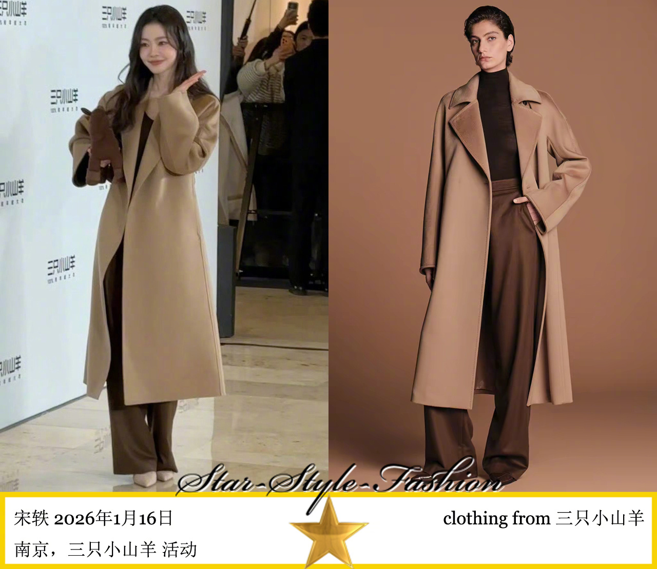 宋轶穿驼色羊绒大衣配咖色长裤亮相