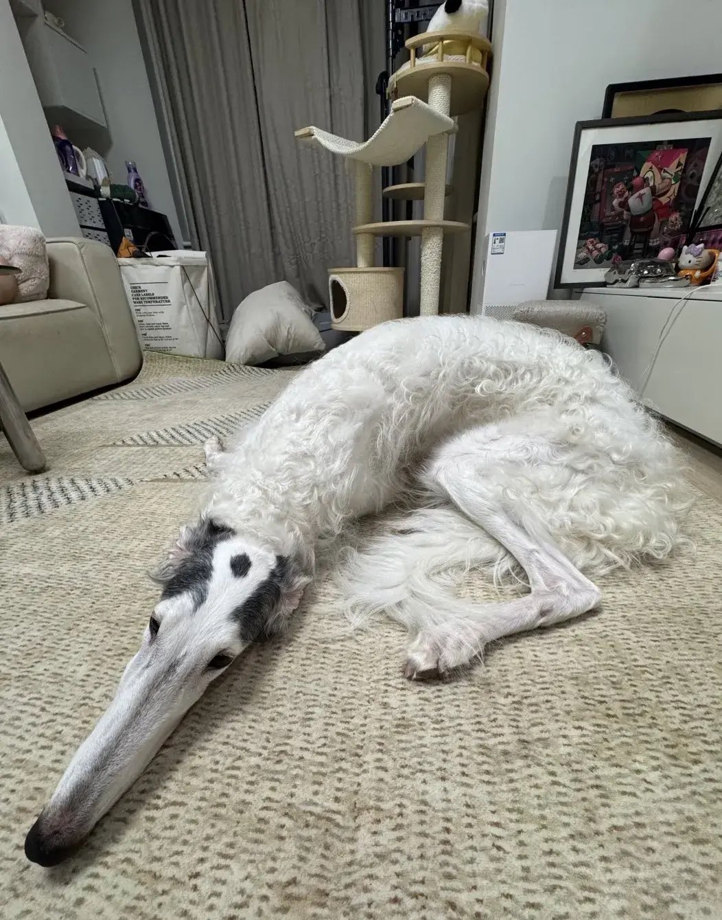 BBA豪车光环褪色，超八成车主换购国产车