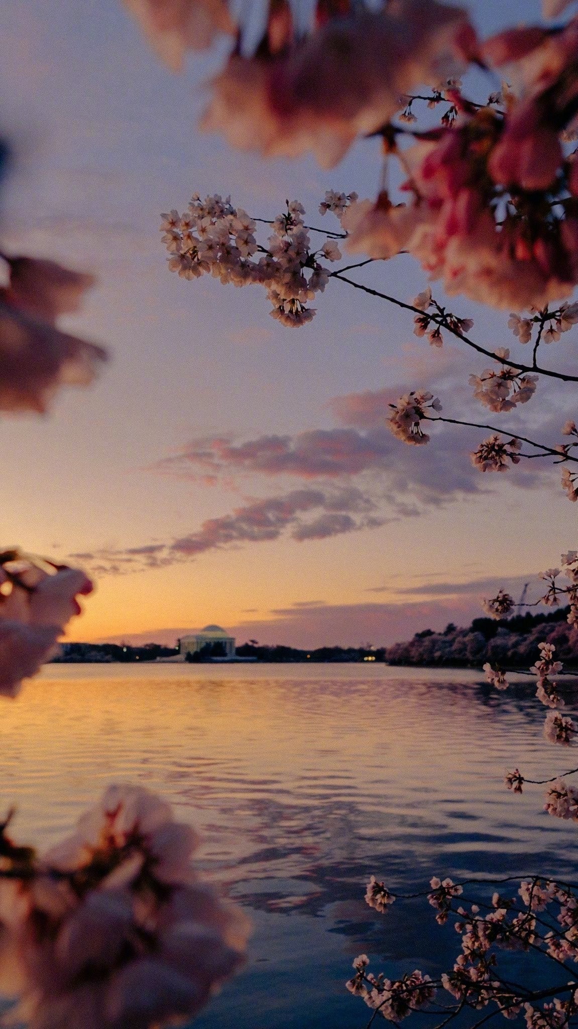 丁薇新歌《普希金》发布，歌词描绘时光与列车意象