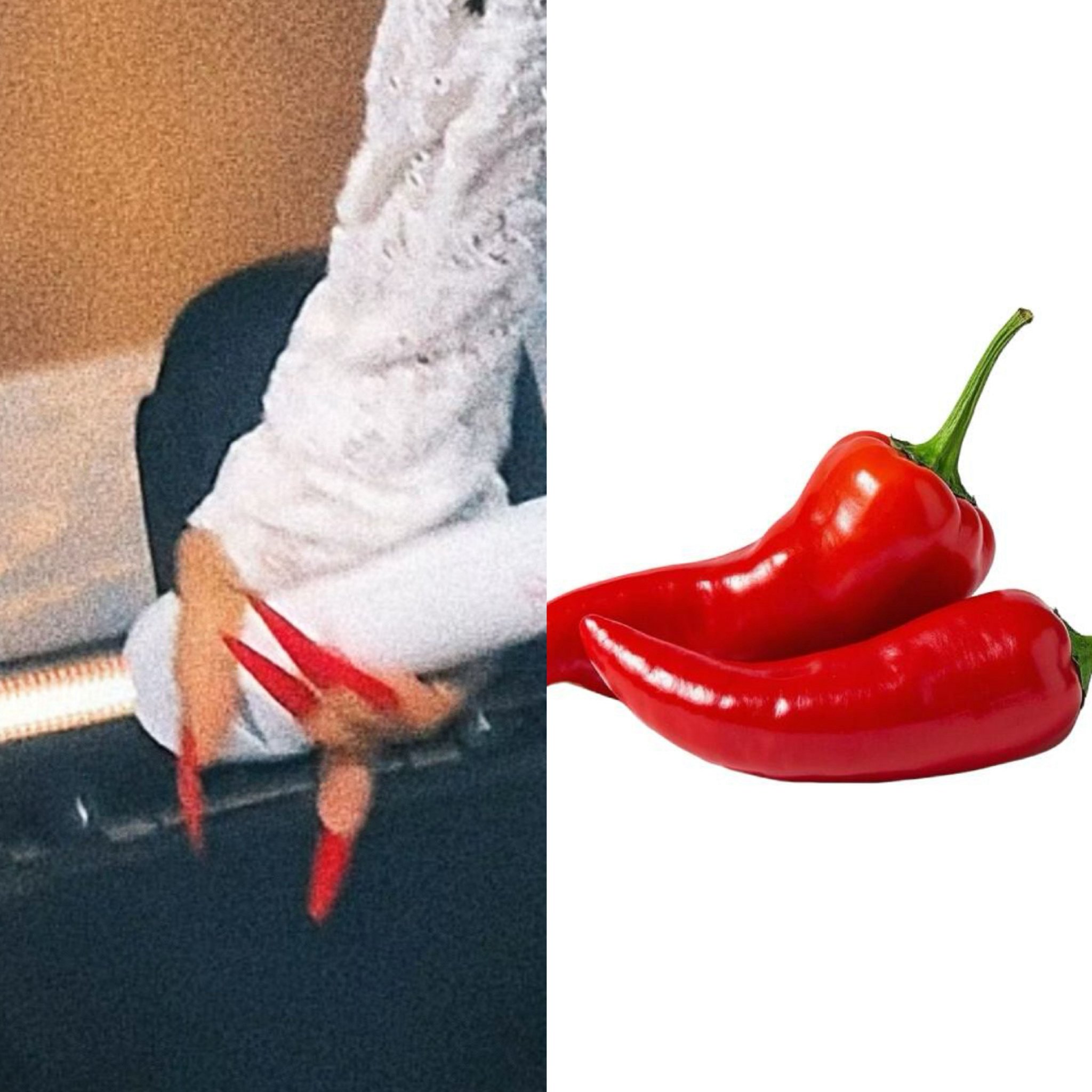 吉克隽逸红辣椒美甲亮相中国电影120周年活动