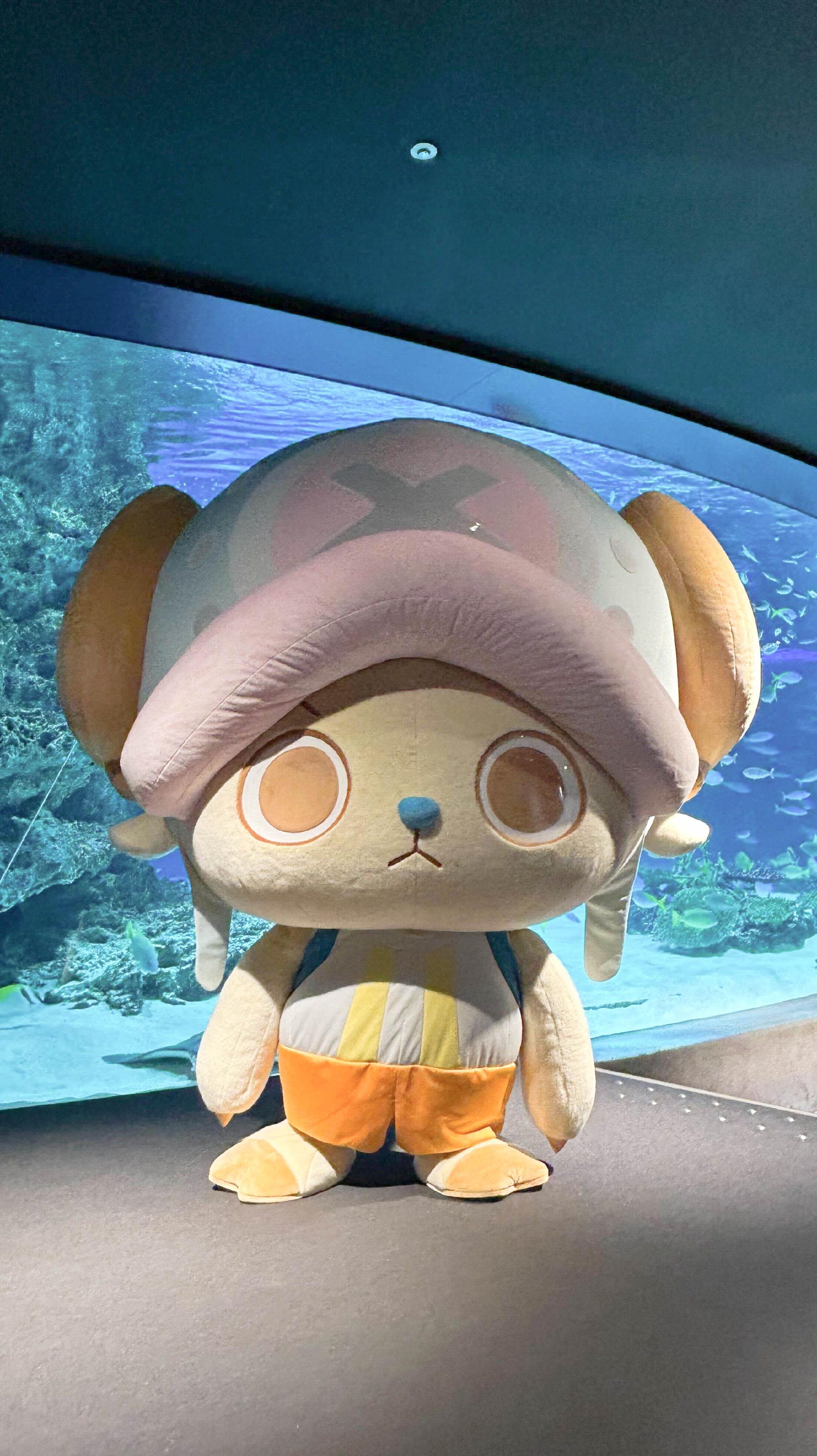 海贼王乔巴新企划亮相阳光水族馆