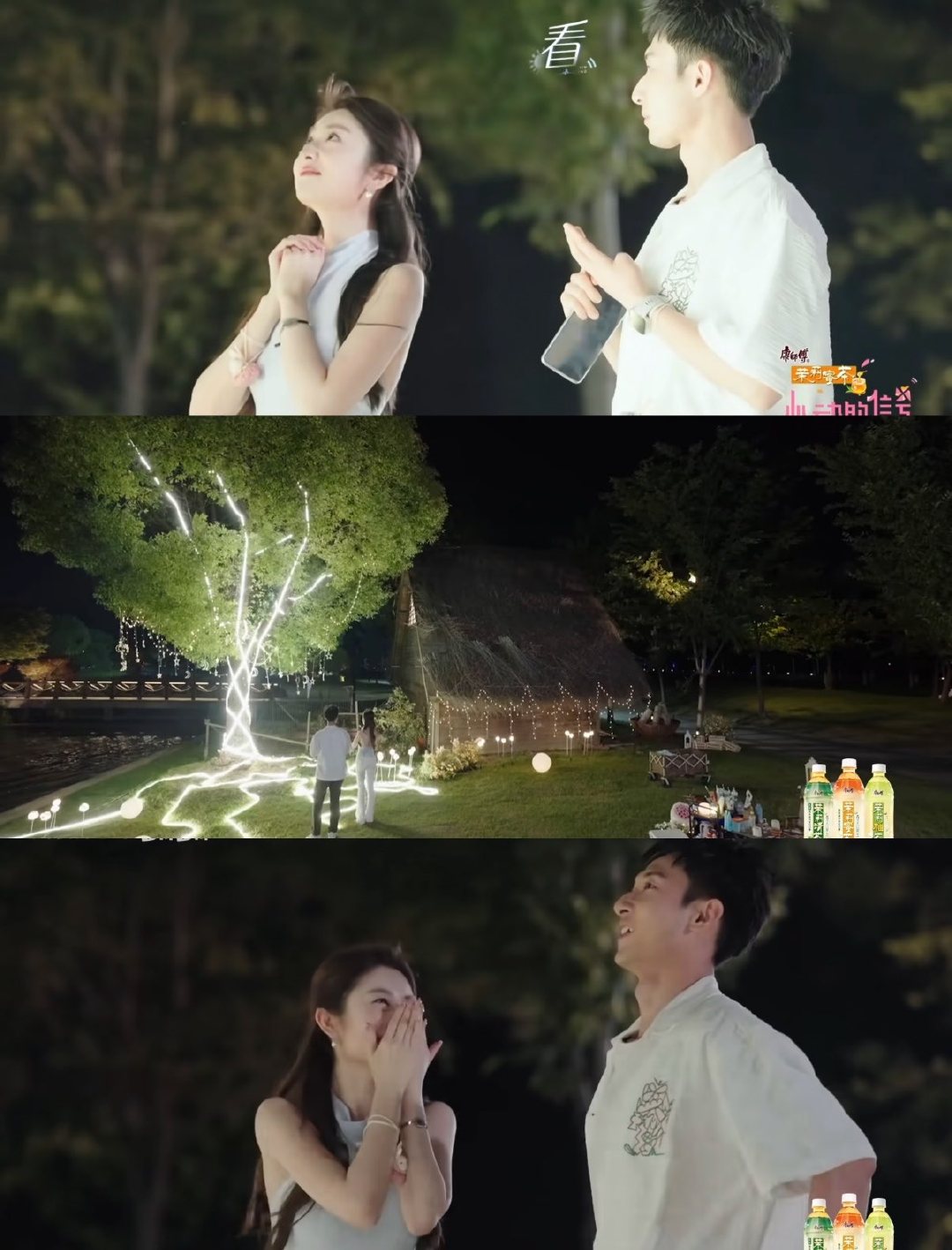 焦峙衡彭高大厂纯爱许愿树约会梦回烟花