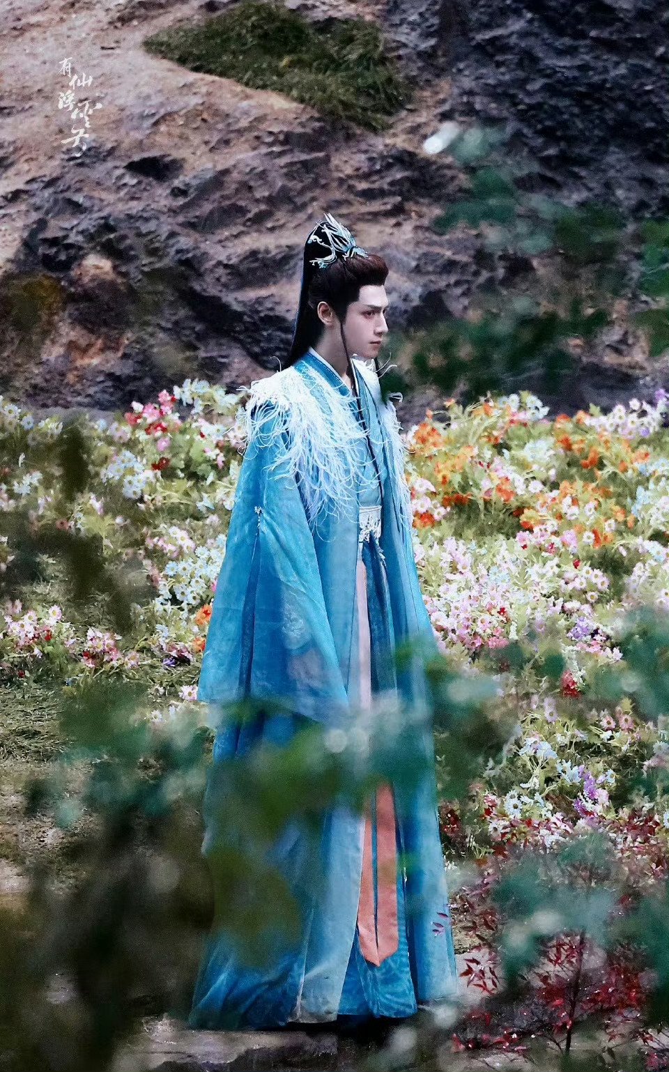 每日安利罗云熙