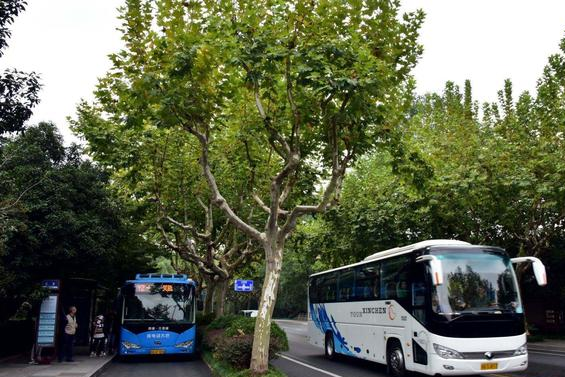 浙江一神奇村庄，从富裕渔村变无人鬼村，如今又成网红打卡点