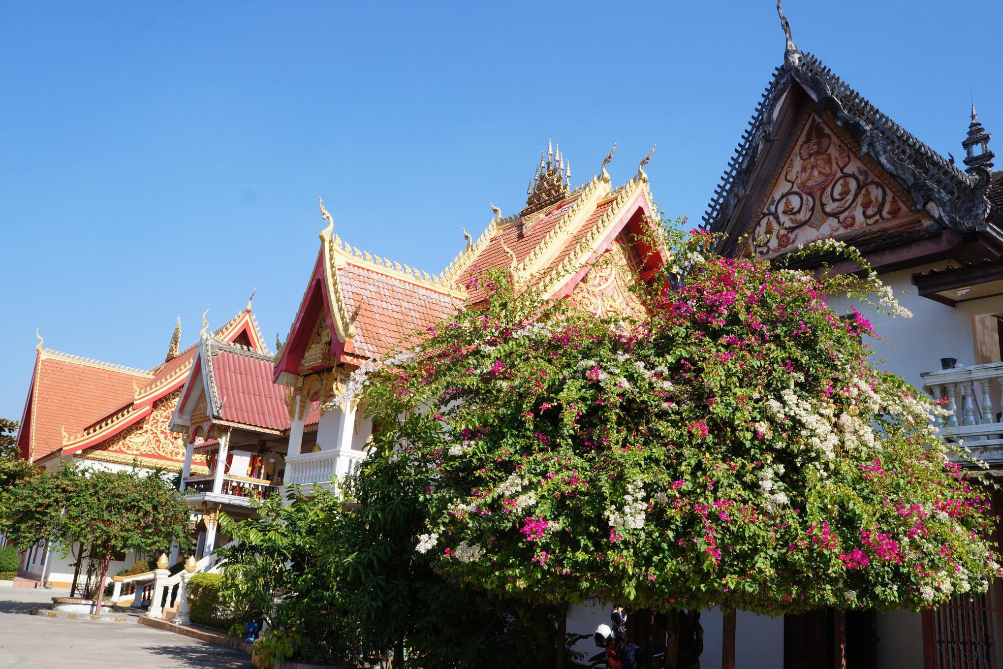 老挝国土面积和人口_老挝国土(3)