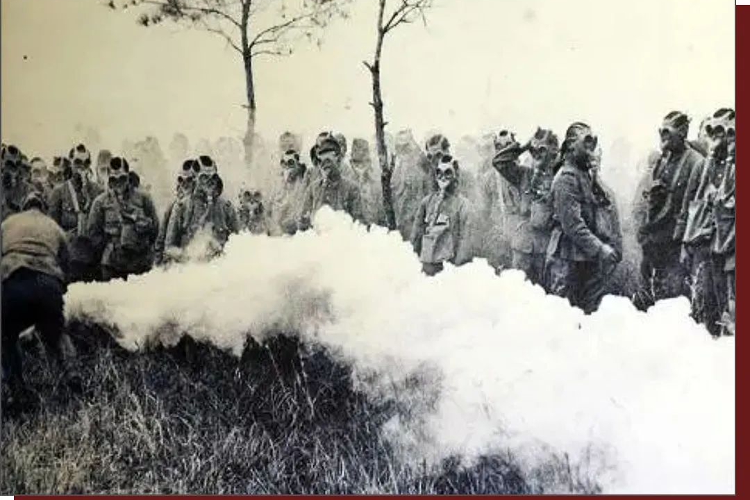 最新动态！临沂化武路有鸡吗？——实地探访与避坑全攻略🔥