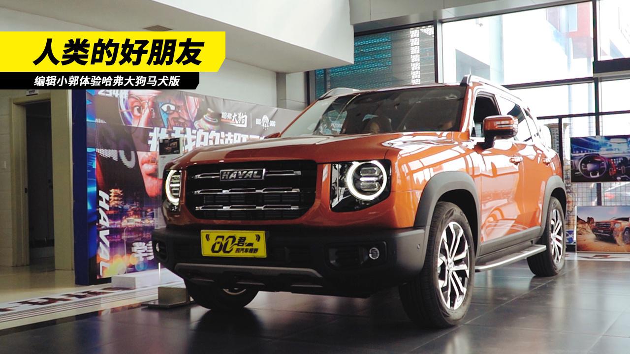 新车｜人类的好朋友 编辑小郭体验哈弗大狗马犬版
