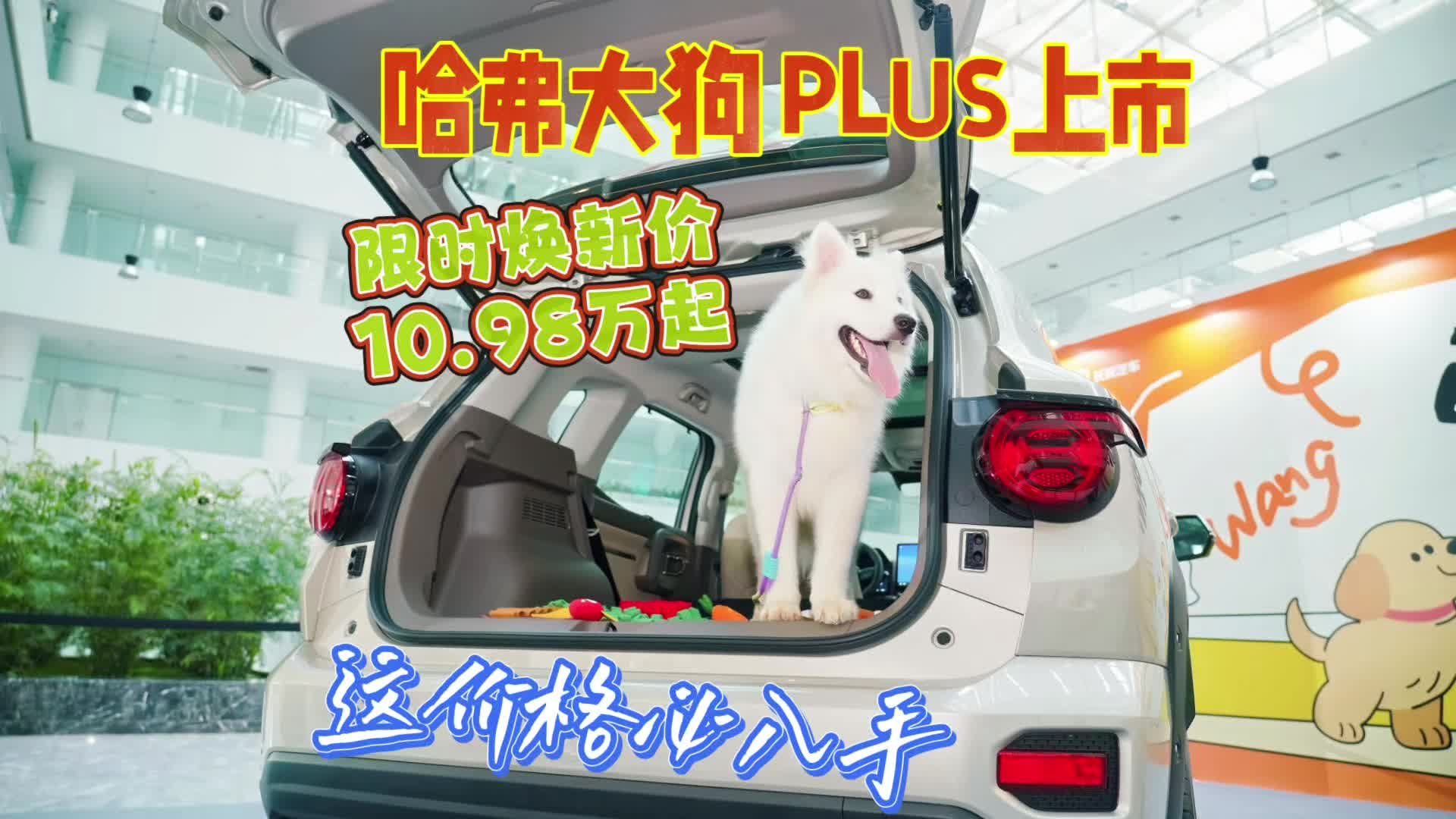 哈弗大狗PLUS上市，限时换新价10.98万起，这价格必须入手