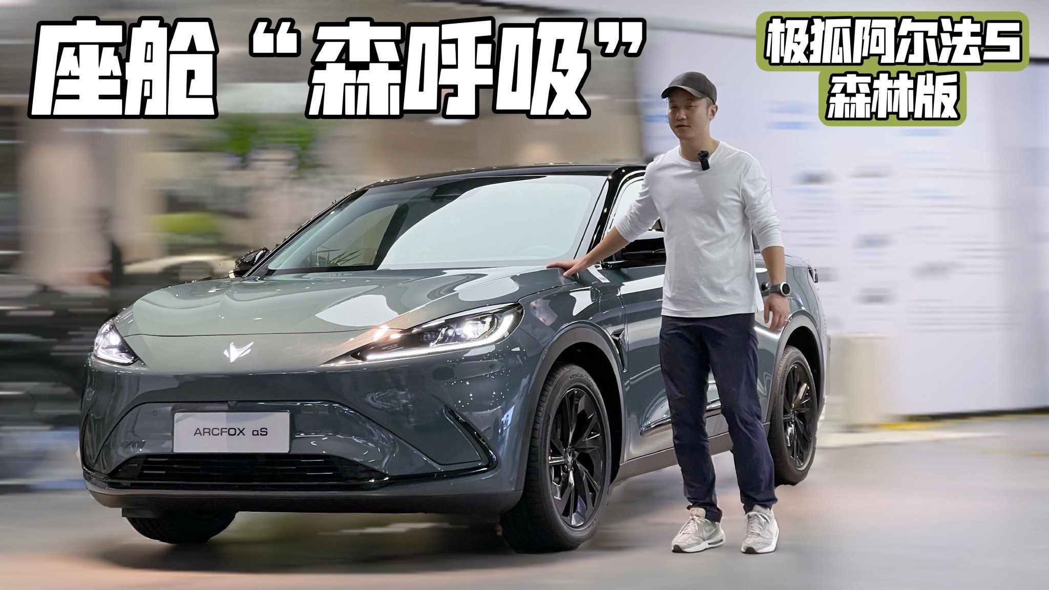 探店丨放心“森呼吸”  实拍极狐阿尔法S森林版