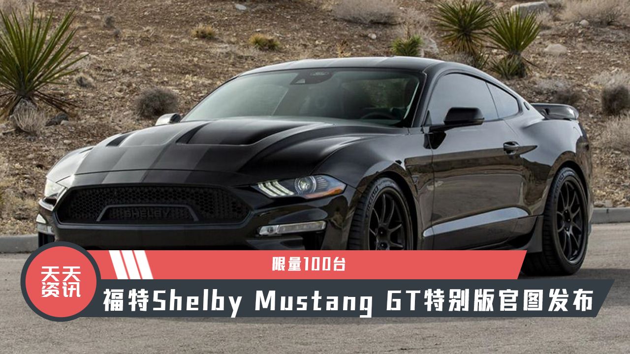 【天天资讯】限量100台，福特Shelby Mustang GT特别版官图发布