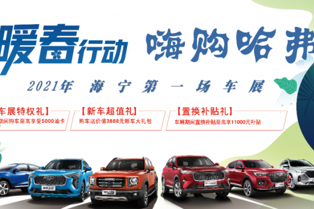 2021年 海宁第一场车展 买车！就是现在！！！