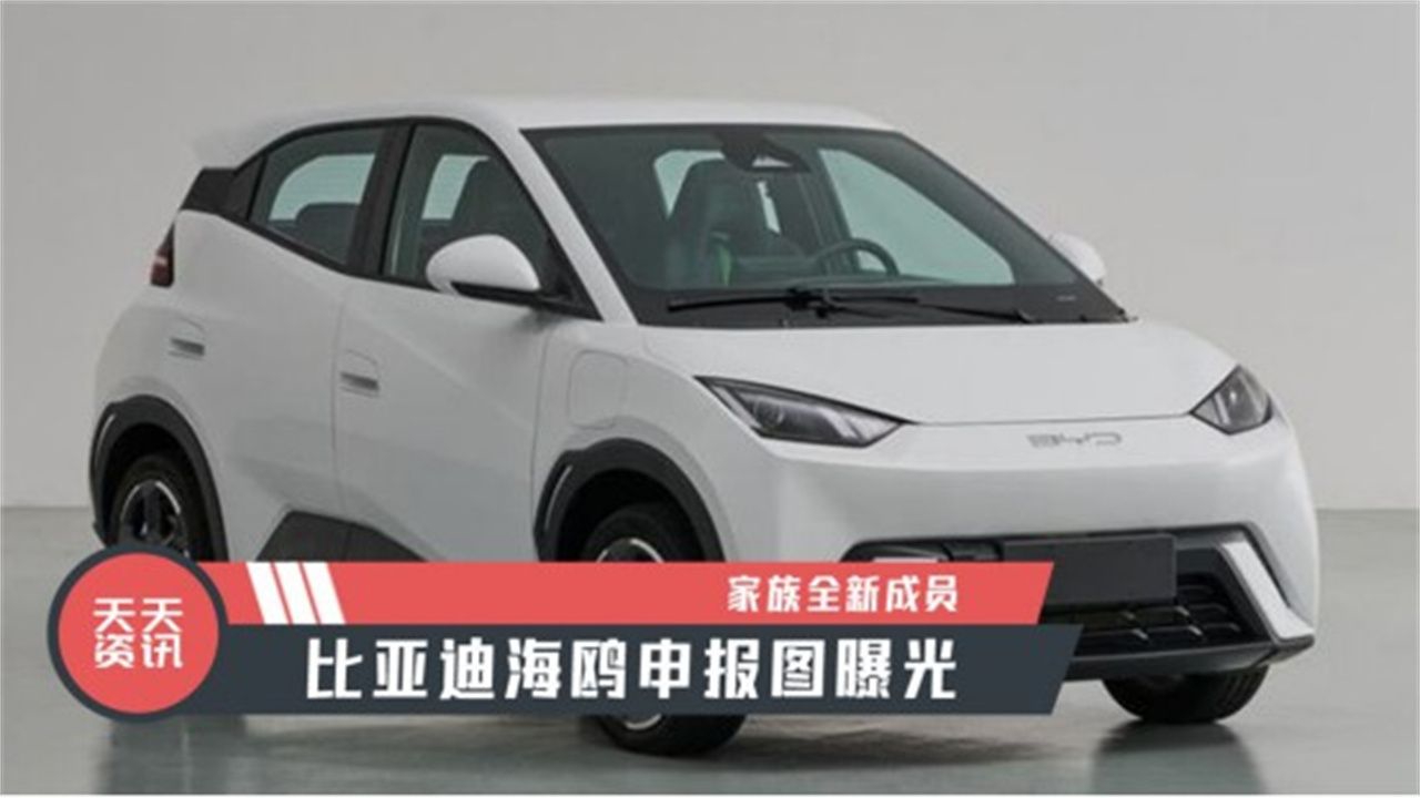 【天天资讯】家族全新成员，比亚迪海鸥申报图曝光