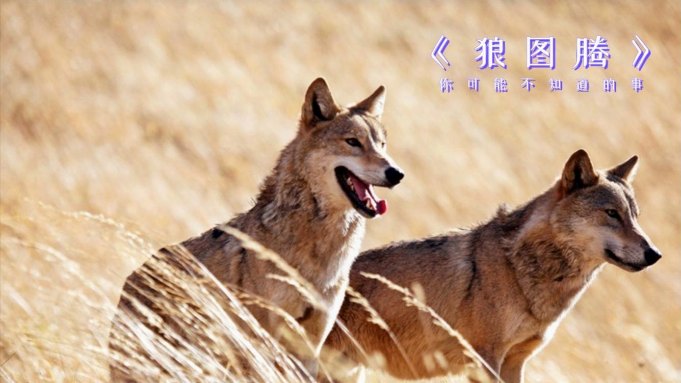 自然的呼唤与人性的反思