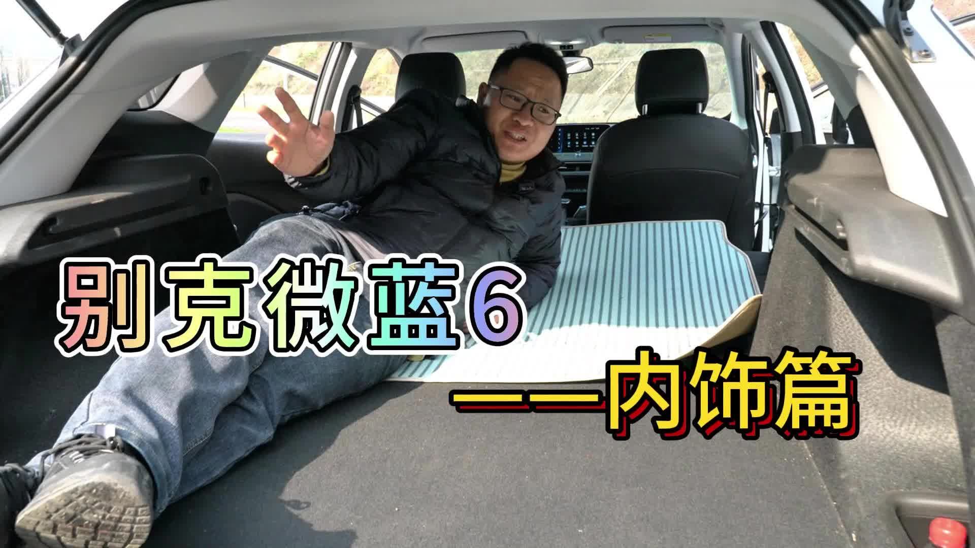 都说合资电车内饰不吸睛，租辆微蓝6您给内饰打几分？