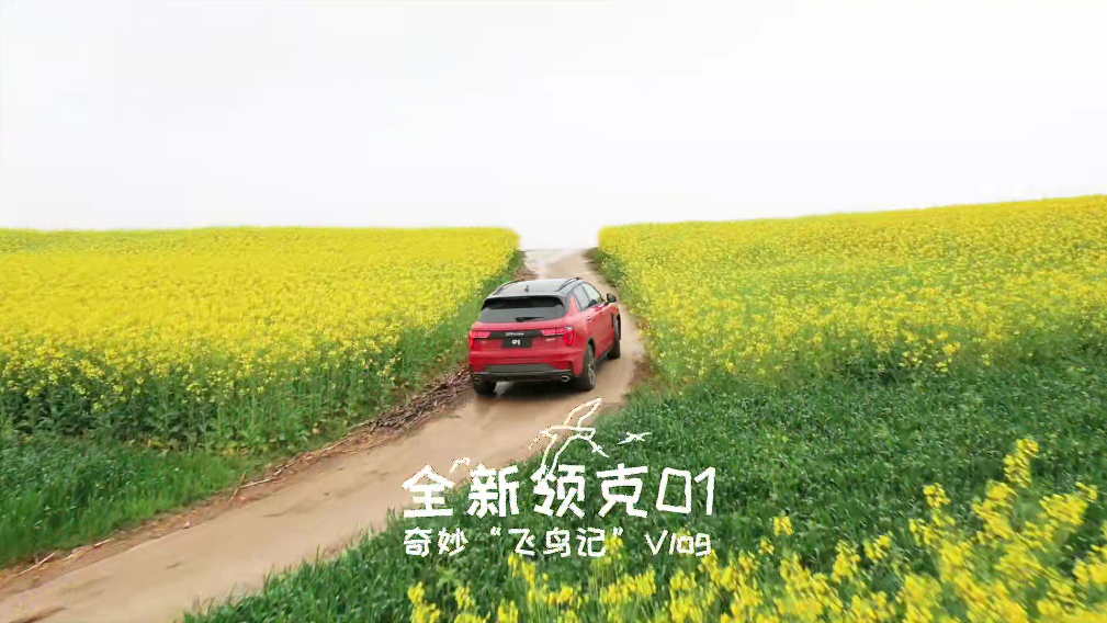 Vlog | 全新领克01奇妙“飞鸟记”：一路趣野，似鸟归山！