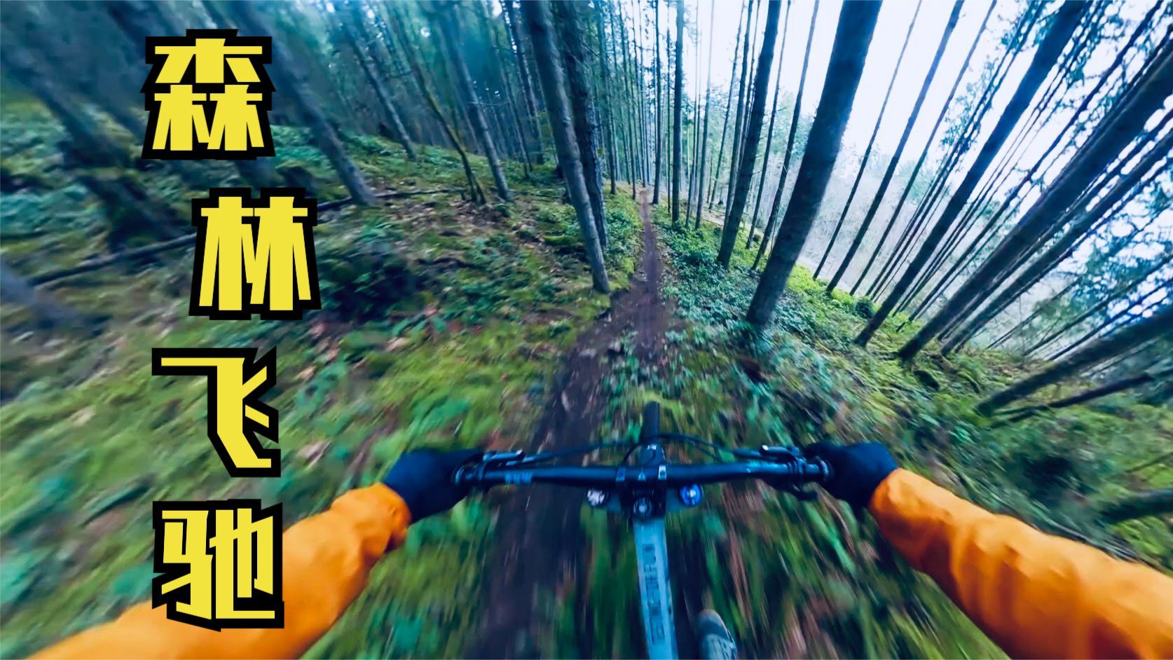 如何在2小时内完成100元快餐配送？三大极速降本利器揭秘